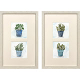 Paragon Pot of Herbs S/2 Blue 20 X 13 X 1 Wall Art