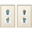 Paragon Pot of Herbs S/2 Blue 20 X 13 X 1 Wall Art
