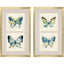 Paragon Watery Butterfly S/2 Blue 33 X 20 X 2 Wall Art