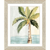 Paragon Oasis Palm I Green 36 X 30 X 2 Wall Art