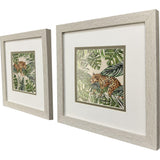 Paragon Jungle Hangout S/2 Green 11 X 11 X 1 Wall Art