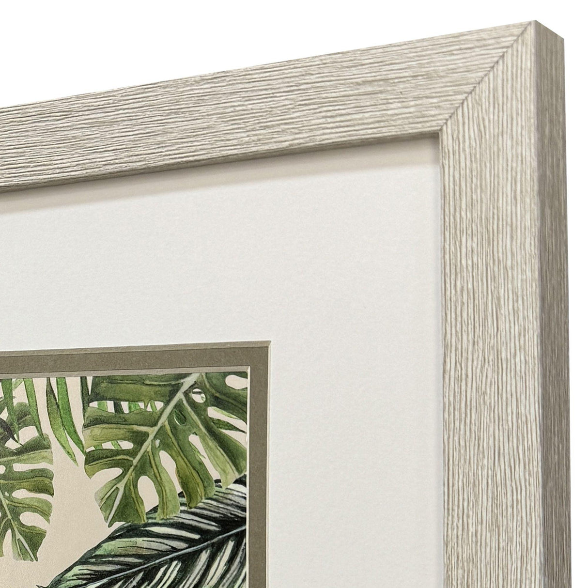 Paragon Jungle Hangout S/2 Green 11 X 11 X 1 Wall Art