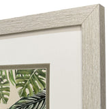 Paragon Jungle Hangout S/2 Green 11 X 11 X 1 Wall Art