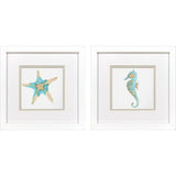 Paragon Sea Creatures I S/2 Blue 11 X 11 X 2 Wall Art