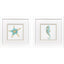 Paragon Sea Creatures I S/2 Blue 11 X 11 X 2 Wall Art