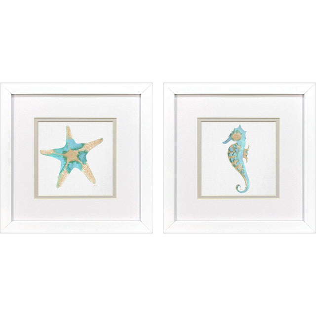 Paragon Sea Creatures I S/2 Blue 11 X 11 X 2 Wall Art