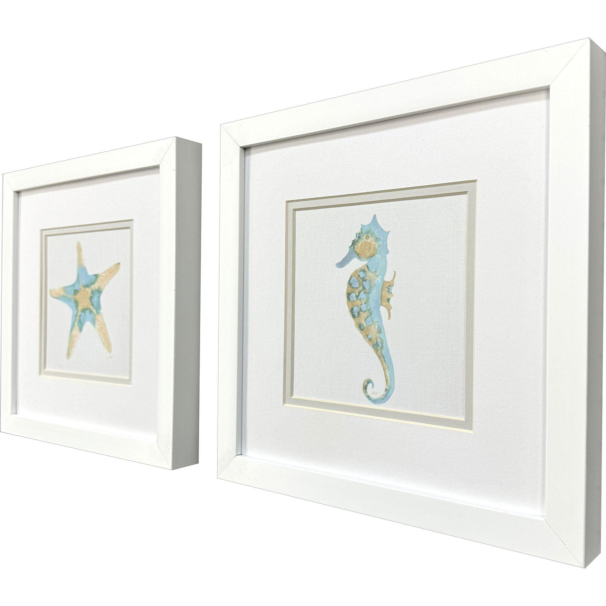 Paragon Sea Creatures I S/2 Blue 11 X 11 X 2 Wall Art