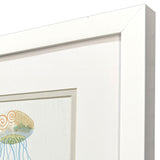 Paragon Sea Creatures II S/2 Blue 11 X 11 X 2 Wall Art