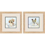 Paragon Bath Time S/2 Brown 12 X 12 X 1 Wall Art