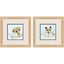 Paragon Bath Time S/2 Brown 12 X 12 X 1 Wall Art