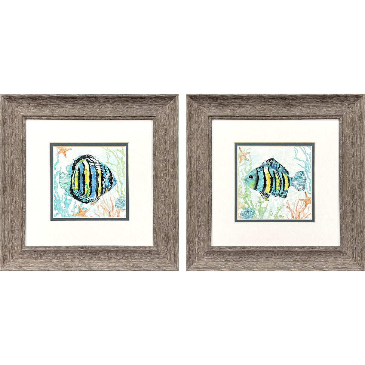 Paragon Striped Tropical Fish S/2 Blue 13 X 13 X 1 Wall Art