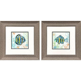 Paragon Striped Tropical Fish S/2 Blue 13 X 13 X 1 Wall Art