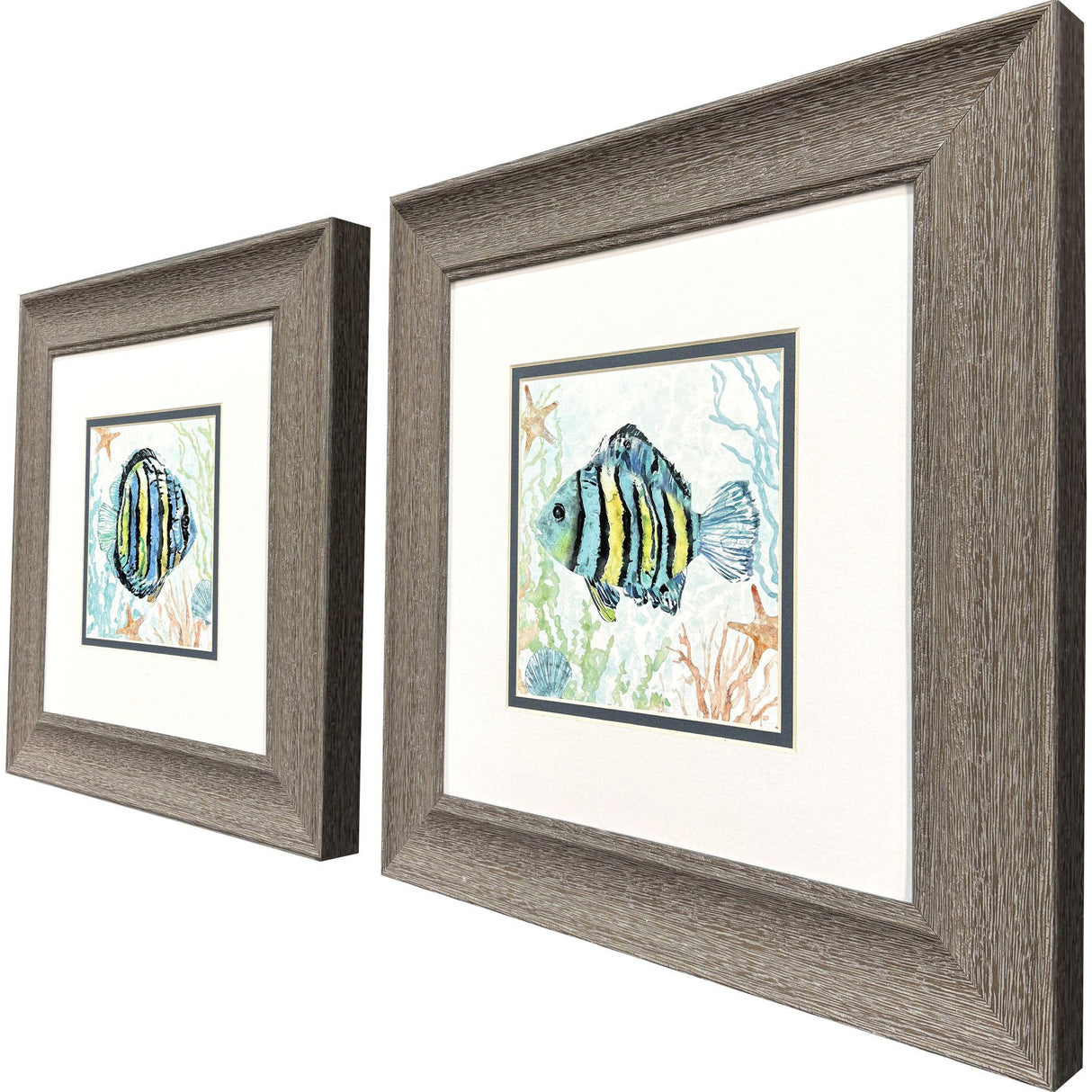 Paragon Striped Tropical Fish S/2 Blue 13 X 13 X 1 Wall Art