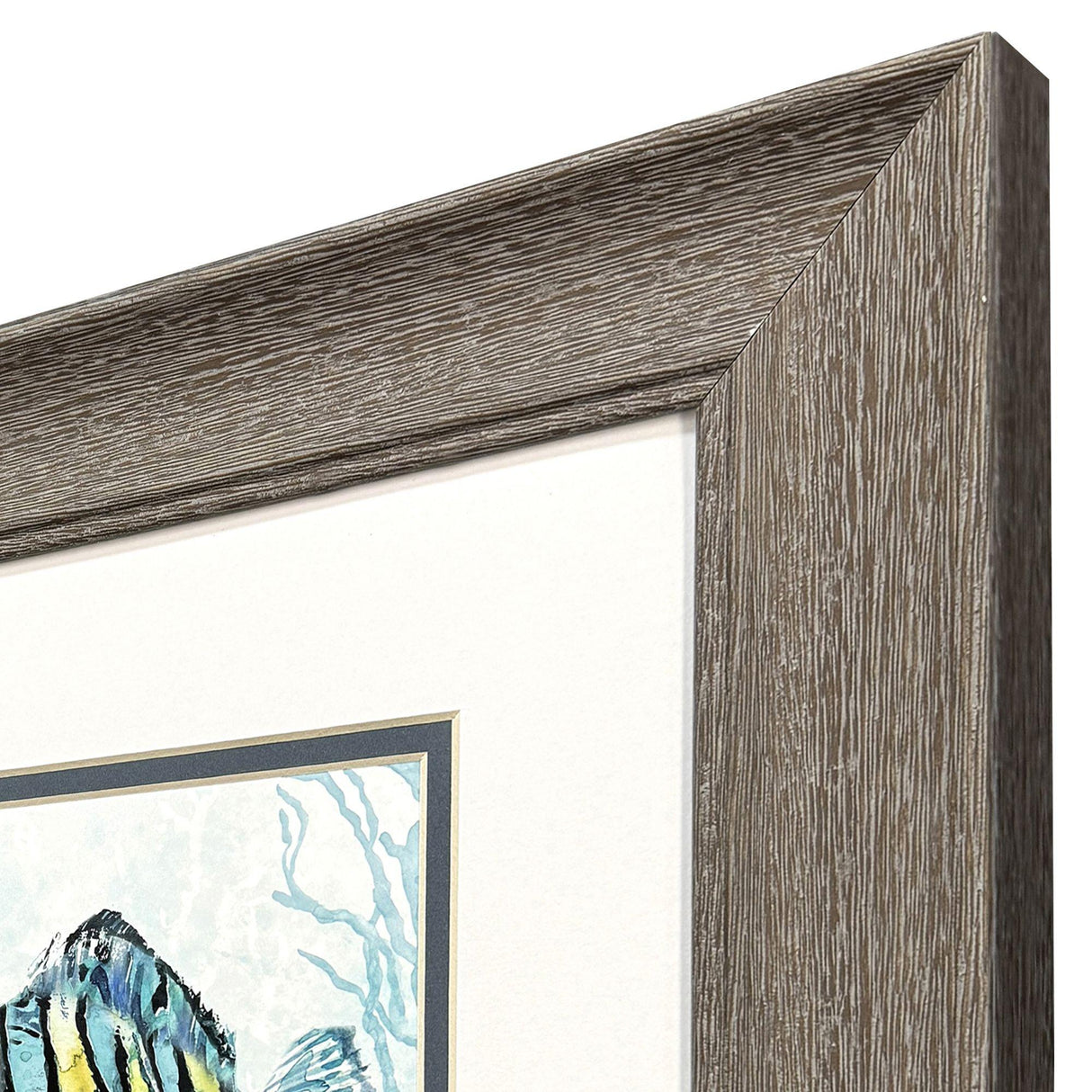 Paragon Striped Tropical Fish S/2 Blue 13 X 13 X 1 Wall Art