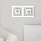 Paragon Azure Shell S/2 Blue 11 X 11 X 2 Wall Art