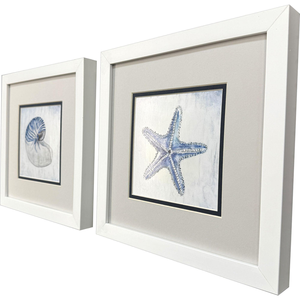 Paragon Azure Shell S/2 Blue 11 X 11 X 2 Wall Art