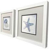 Paragon Azure Shell S/2 Blue 11 X 11 X 2 Wall Art
