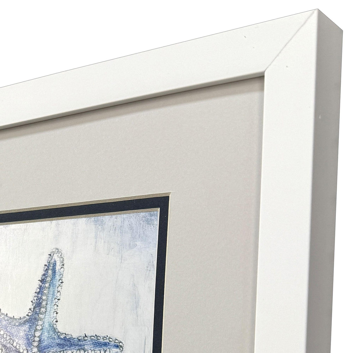 Paragon Azure Shell S/2 Blue 11 X 11 X 2 Wall Art