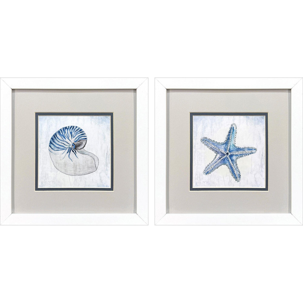 Paragon Azure Shell S/2 Blue 11 X 11 X 2 Wall Art