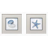 Paragon Azure Shell S/2 Blue 11 X 11 X 2 Wall Art