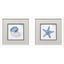 Paragon Azure Shell S/2 Blue 11 X 11 X 2 Wall Art