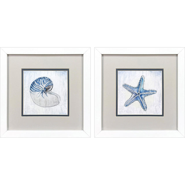 Paragon Azure Shell S/2 Blue 11 X 11 X 2 Wall Art