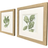 Paragon Summer Leaves S/2 Green 12 X 12 X 1 Wall Art
