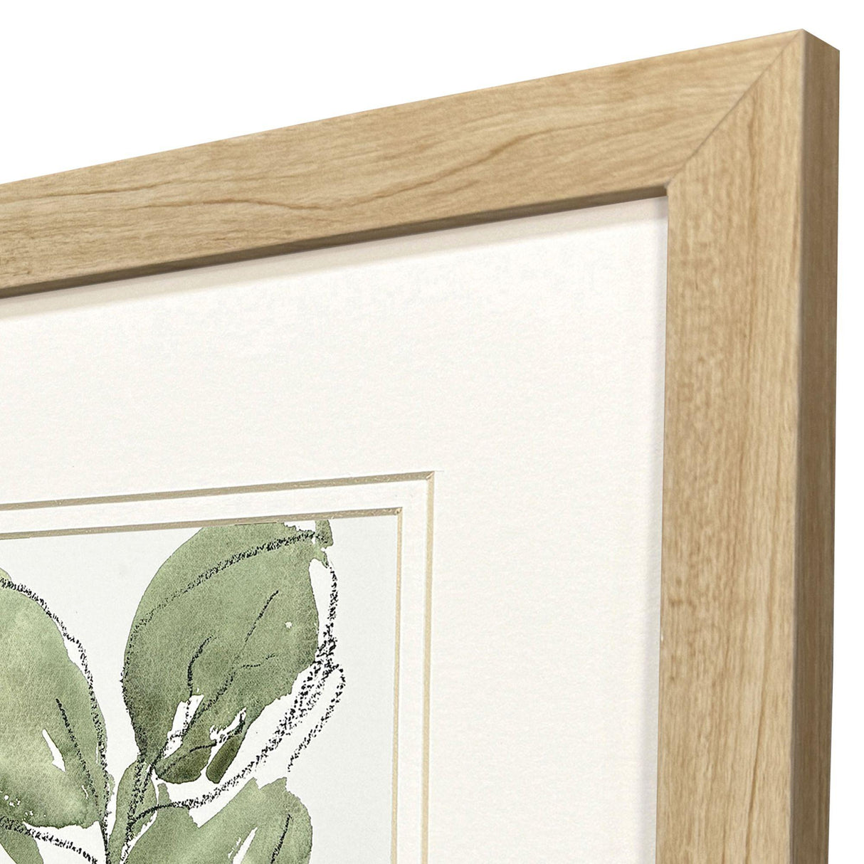 Paragon Summer Leaves S/2 Green 12 X 12 X 1 Wall Art