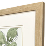 Paragon Summer Leaves S/2 Green 12 X 12 X 1 Wall Art