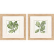 Paragon Summer Leaves S/2 Green 12 X 12 X 1 Wall Art