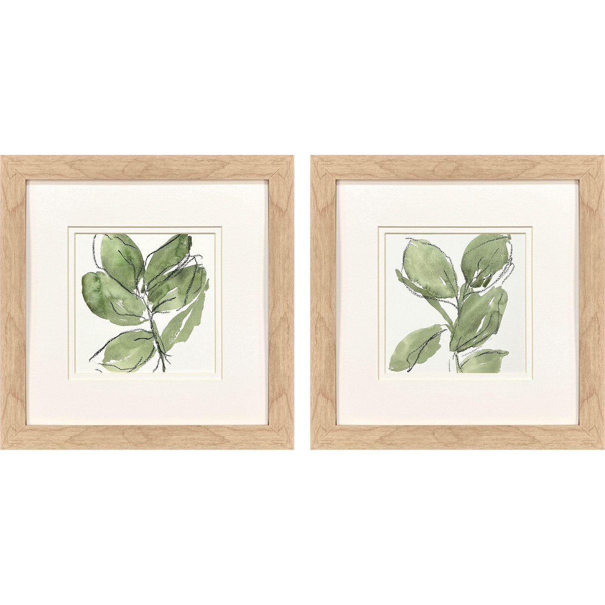 Paragon Summer Leaves S/2 Green 12 X 12 X 1 Wall Art