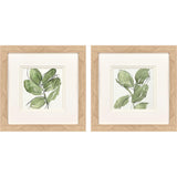 Paragon Summer Leaves S/2 Green 12 X 12 X 1 Wall Art