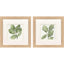 Paragon Summer Leaves S/2 Green 12 X 12 X 1 Wall Art