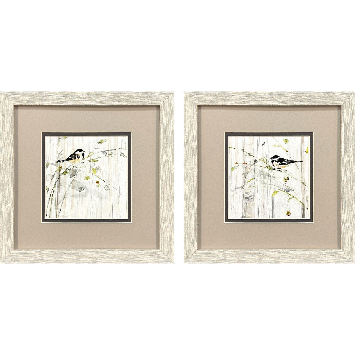 Paragon Heavenly Spring S/2 Black 11 X 11 X 1 Wall Art