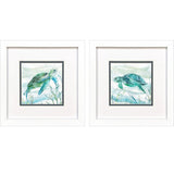 Paragon Tropical Current S/2 Blue 11 X 11 X 2 Wall Art