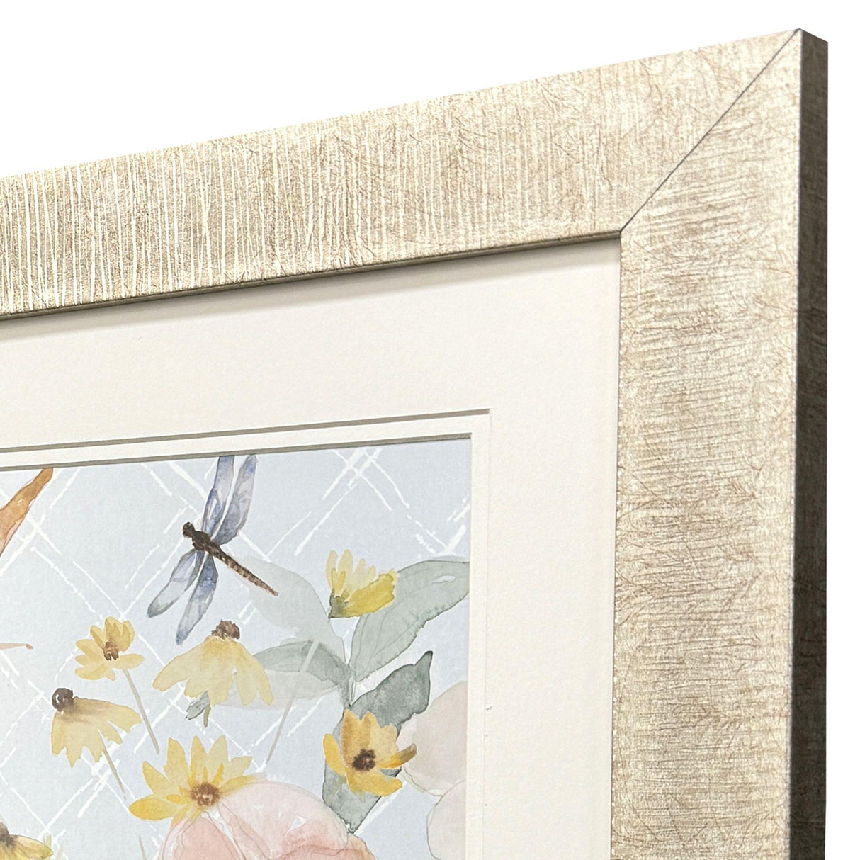 Paragon Garden Joy S/2 Pink 20 X 20 X 1 Wall Art