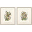 Paragon Organica Bouquet S/2 Green 20 X 17 X 1 Wall Art