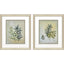 Paragon Ferns Aglow S/2 Green 21 X 18 X 1 Wall Art