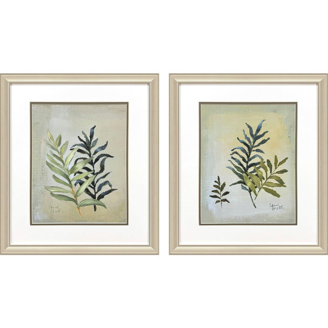 Paragon Ferns Aglow S/2 Green 21 X 18 X 1 Wall Art