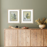 Paragon Ferns Aglow S/2 Green 21 X 18 X 1 Wall Art