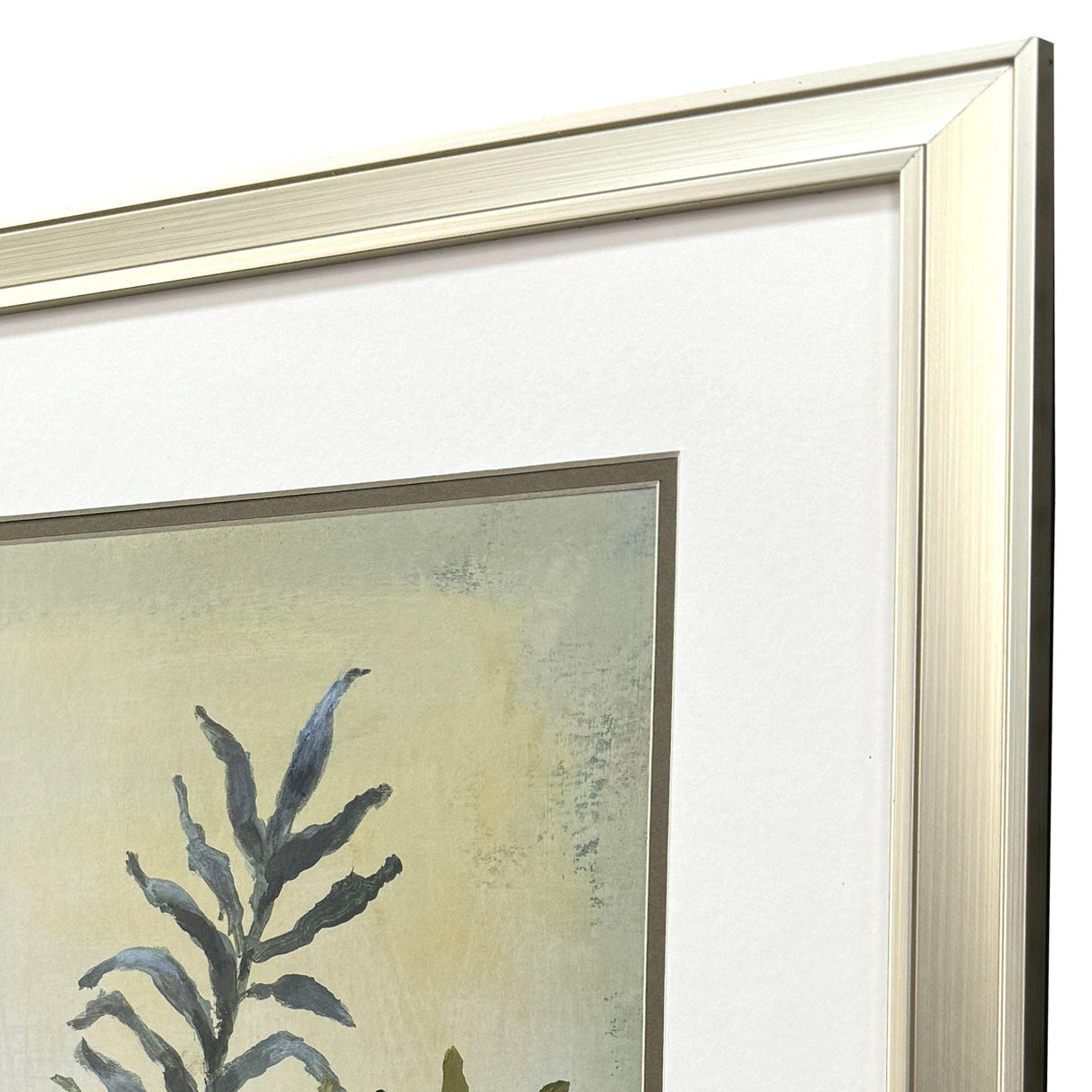 Paragon Ferns Aglow S/2 Green 21 X 18 X 1 Wall Art