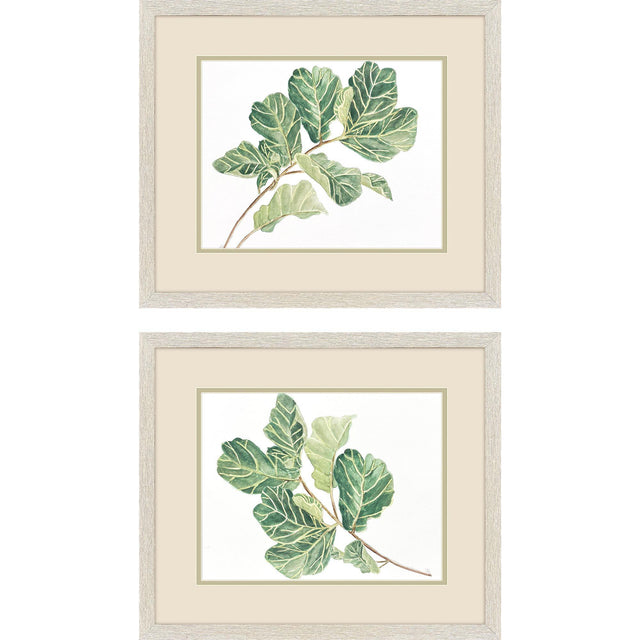 Paragon Fiddle Fig Leaf S/2 Green 17 X 20 X 1 Wall Art