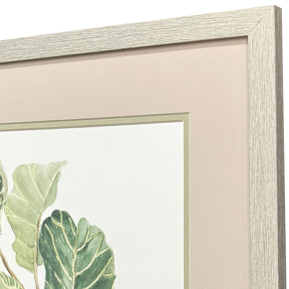 Paragon Fiddle Fig Leaf S/2 Green 17 X 20 X 1 Wall Art