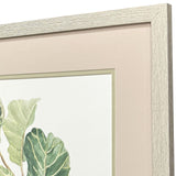 Paragon Fiddle Fig Leaf S/2 Green 17 X 20 X 1 Wall Art