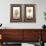 Paragon Way of Nature S/2 Brown 34 X 22 X 2 Wall Art