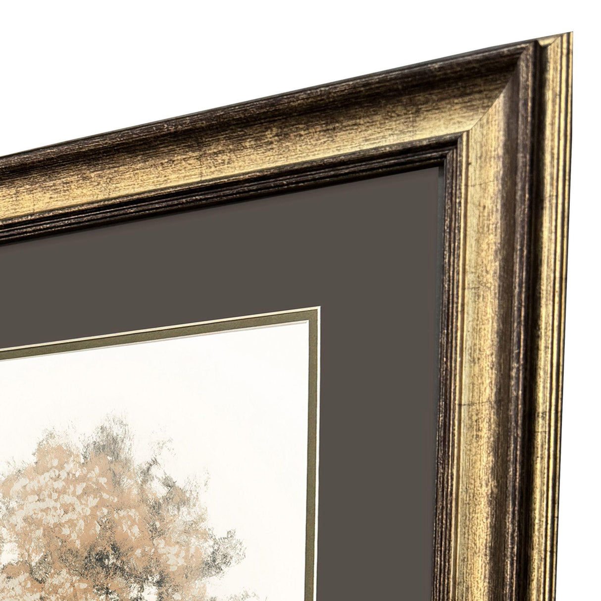 Paragon Way of Nature S/2 Brown 34 X 22 X 2 Wall Art