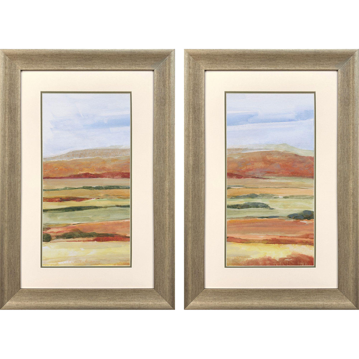 Paragon Sedona Magic S/2 Orange 35 X 23 X 2 Wall Art