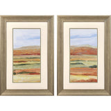 Paragon Sedona Magic S/2 Orange 35 X 23 X 2 Wall Art