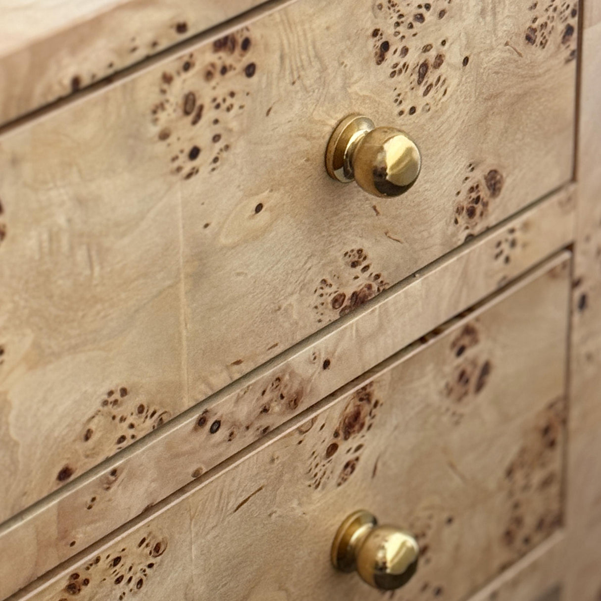 Worlds Away Two Drawer Side Table With Open Top Shelf In Burl Wood With Polished Brass Knobs