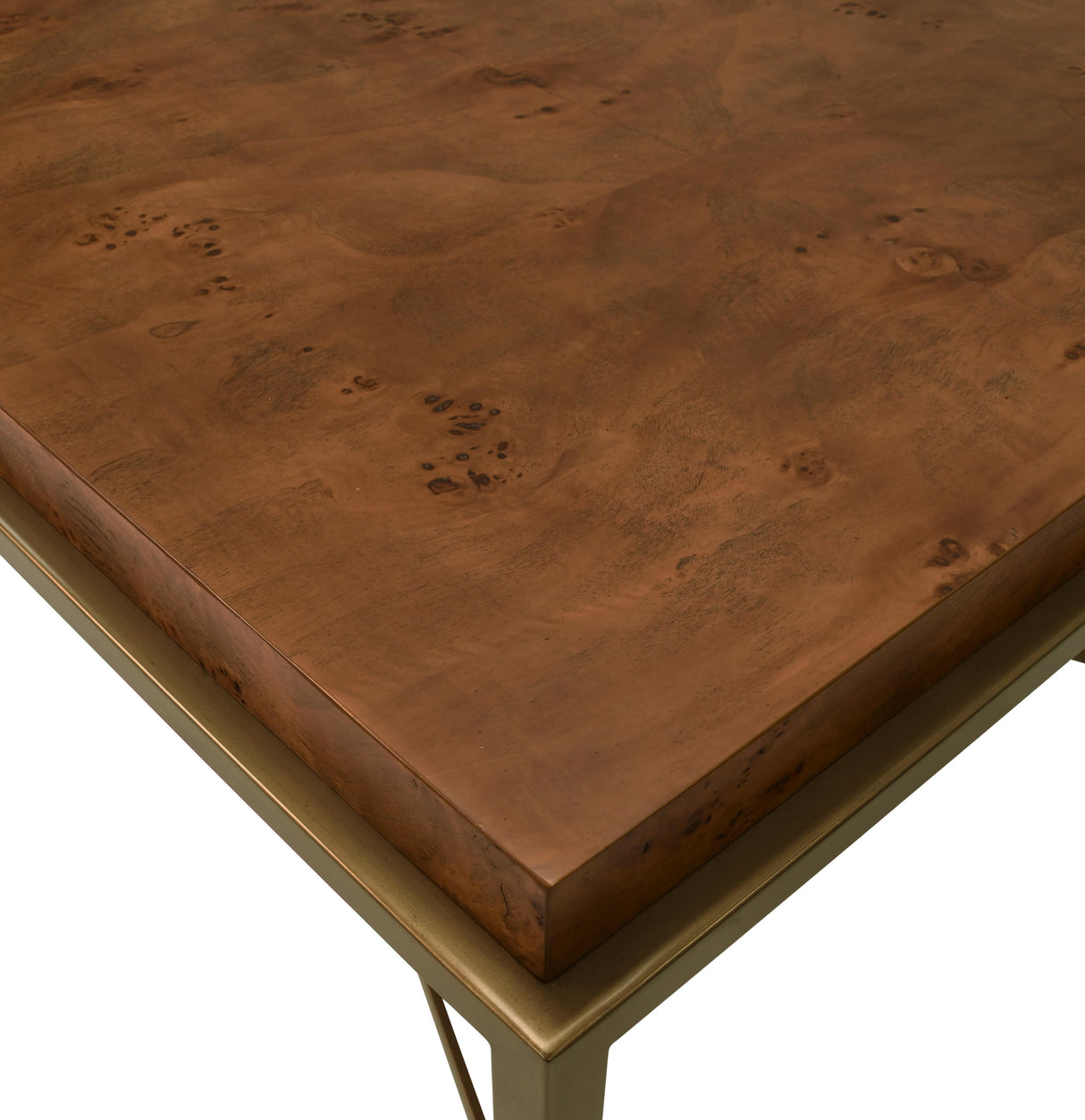 Worlds Away Antique Brass Frame Coffee Table With Thick Top In Dark Burl Wood